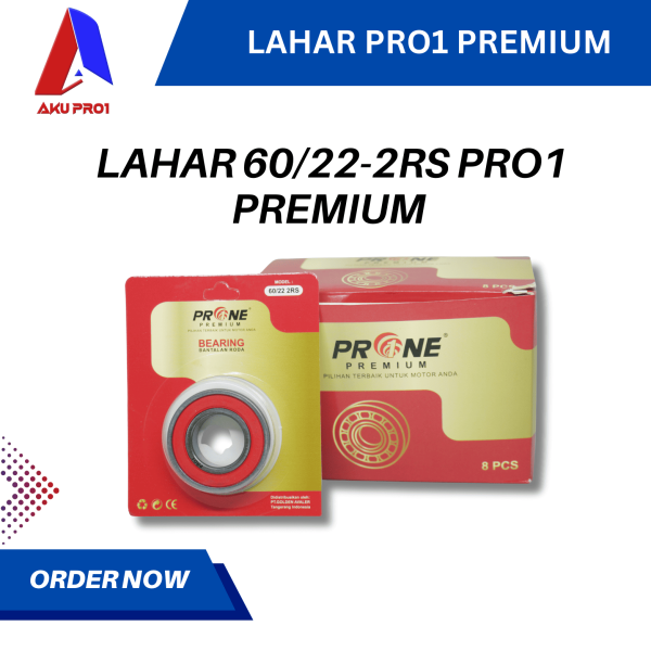 BEARING / BERING / LAHAR / KLAHAR 60/22-2RS PRO1 PREMIUM - Gambar 3